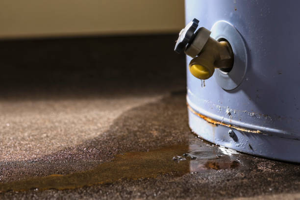 Best Professional water damage repair  in Colquitt, GA