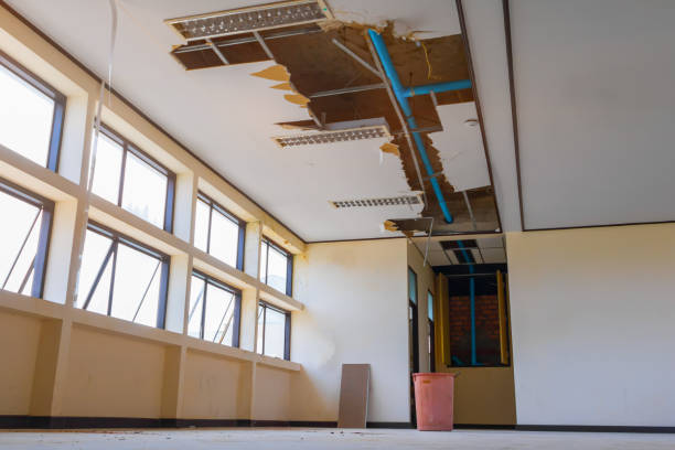 Best Water damage cleanup near me  in Colquitt, GA