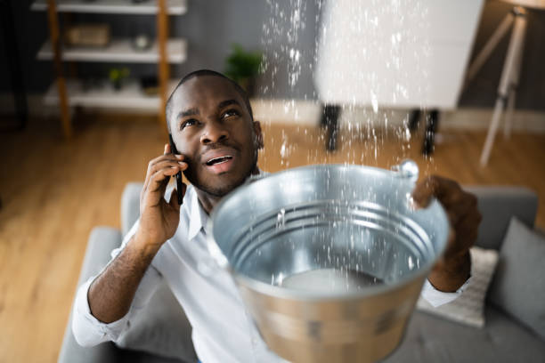 Best Residential water damage restoration  in Colquitt, GA