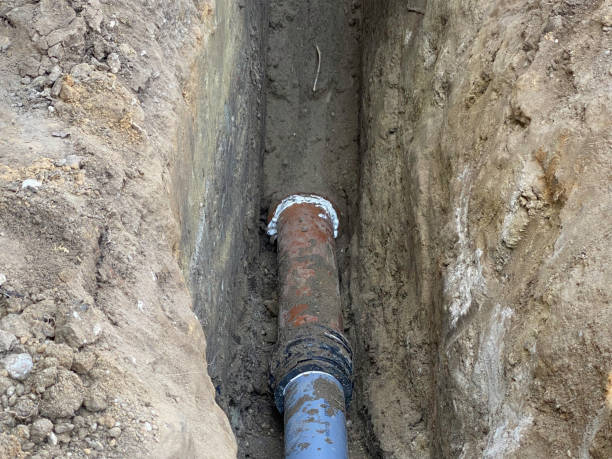 Best Flood restoration services  in Colquitt, GA