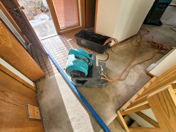 Best Water damage restoration near me  in Colquitt, GA