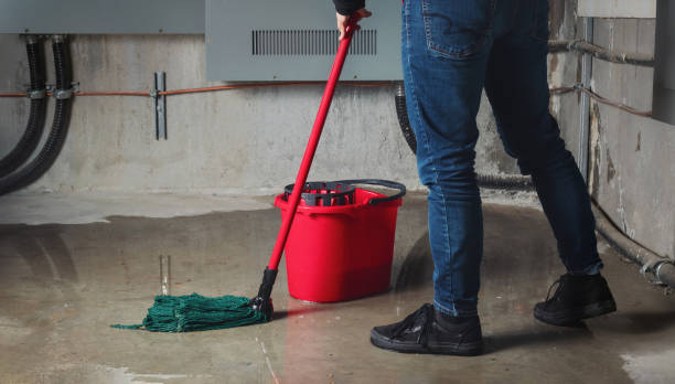 Best Commercial water damage restoration  in Colquitt, GA