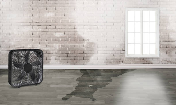 Best Fire Damage Restoration  in Colquitt, GA