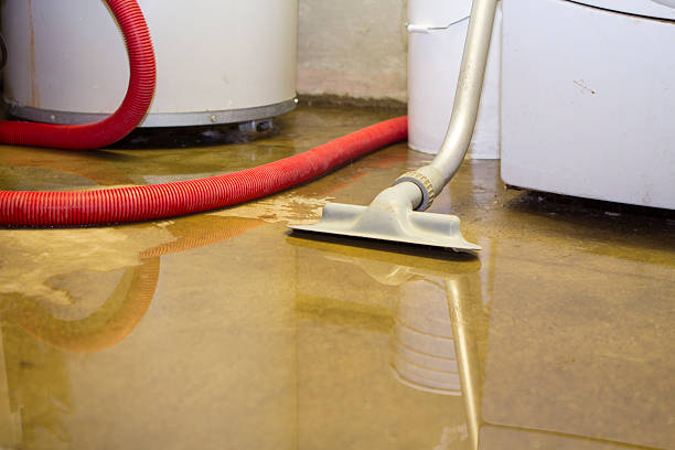 Best Water damage restoration insurance claims  in Colquitt, GA
