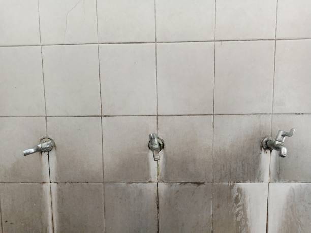 Best Flood damage cleanup  in Colquitt, GA
