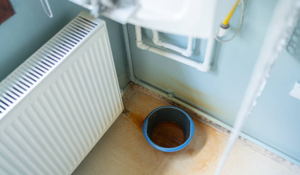 Best Water damage restoration specialists  in Colquitt, GA