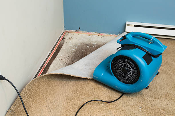  Colquitt, GA Water damage restoration Pros